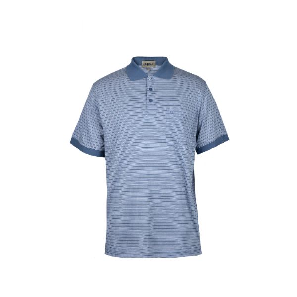 Goldlion Regular Fit Cotton Polo Tee - Size S - Blue Stripe