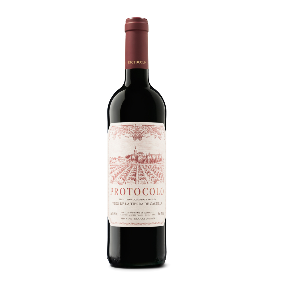 [July 2023] EGUREN PROTOCOLO TINTO  2019 (SCREWCAP)